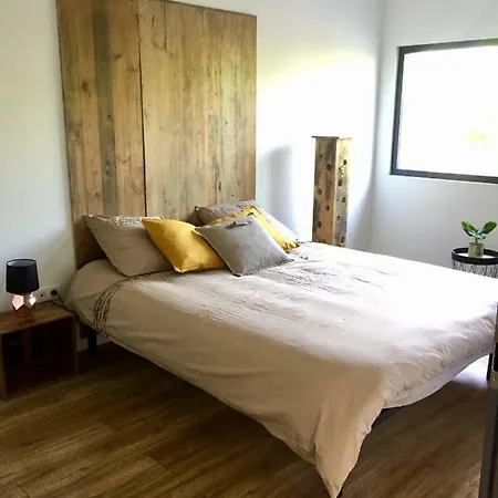 Le De Ninon Et Leon 2 Epis