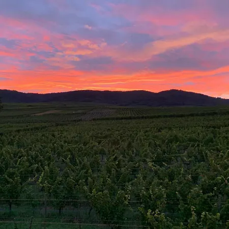 Le De Ninon Et Leon 2 Epis Lägenhet Eguisheim